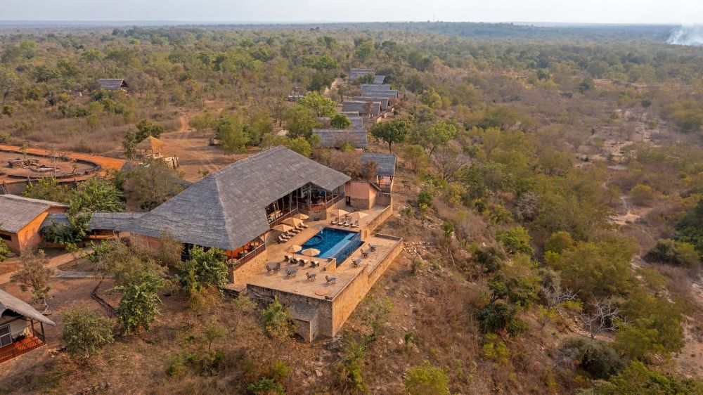 Wildlife Adventure Image